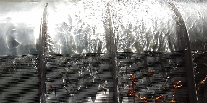 Coanda intake screen installed at a hydropower water intake