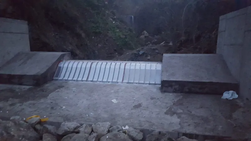 BUSKI Muratbey: Nach dem Hochwasser: installation photo 1