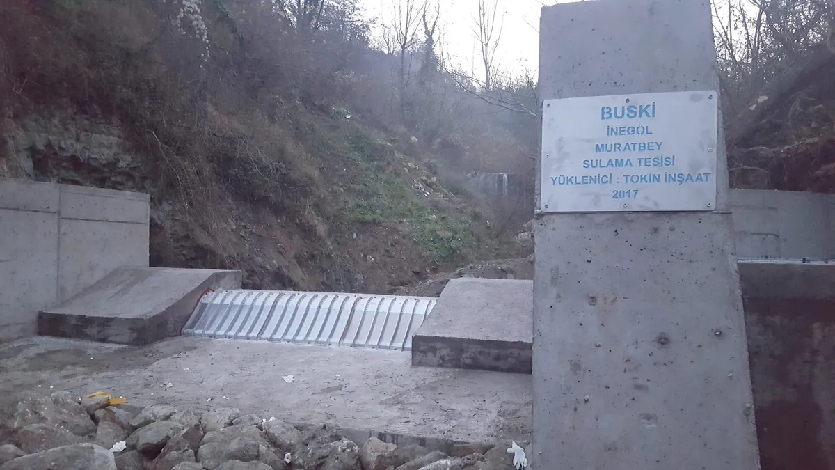 BUSKI Muratbey: Nach dem Hochwasser: installation photo 3