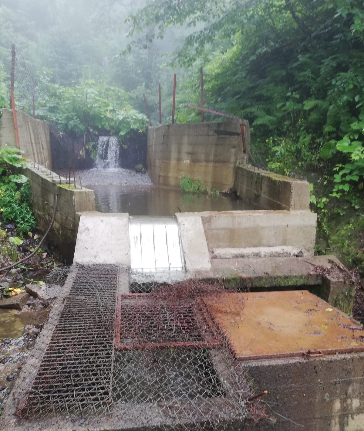 The same intake after the retrofit, water flowing in a thin sheet over a Coanda screen built into the rebuilt concrete weir on a misty forest stream