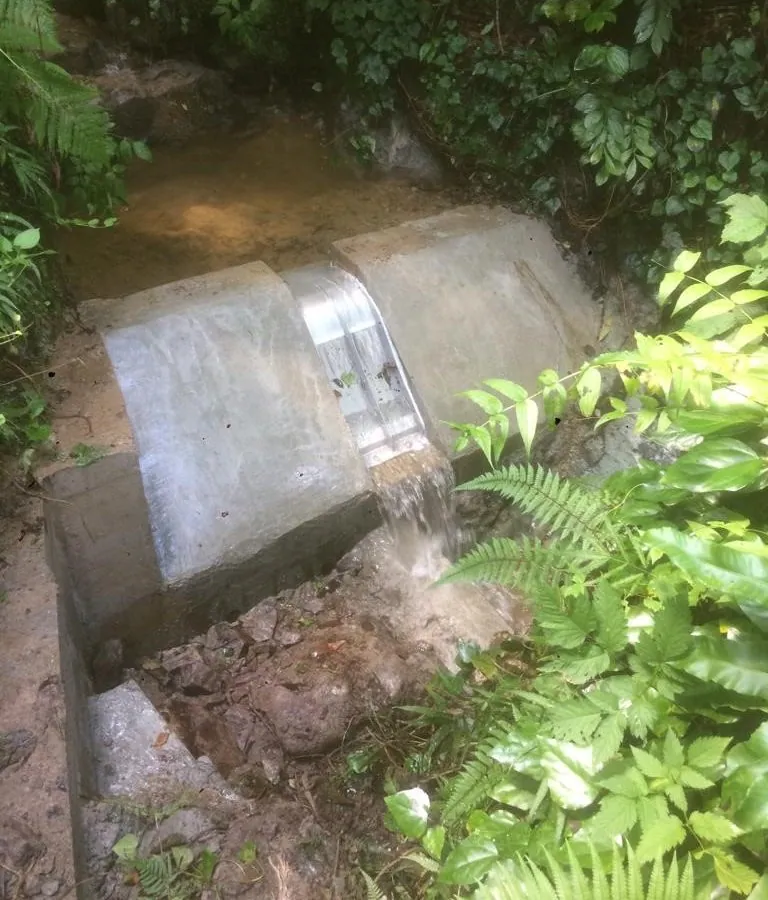ADENCO-45-0.30 Coanda-Einlaufrechen, 10 l/s Wasserfassung für Trinkwasser, Coanda-Rechen in einer Wasserfassung im Wald zwischen Farnen, Trabzon, Türkiye